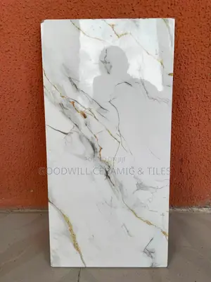 30x60cm Inkjet Wall Tiles