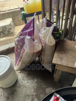 Rice in Bags 100%sortexed