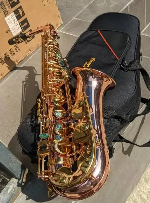 Professional Saxophone