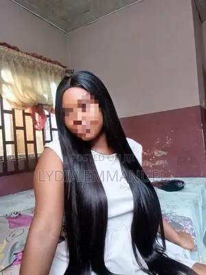Straight Silky Wig