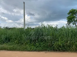 1451 SQM of Land Is Available
