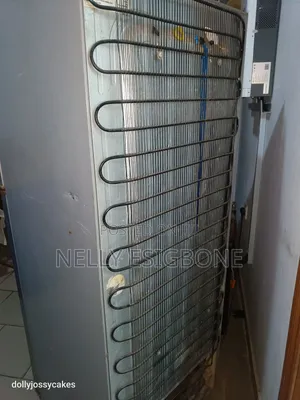 Samsung Fridge/Freezer