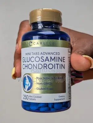 Carlyle Glucosamine Chondroitin MSM 250 Tabs | Joint Relief