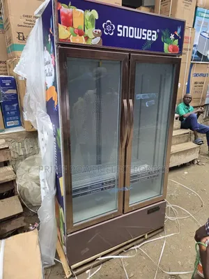 Snowsea Double-Door Freezer for Business