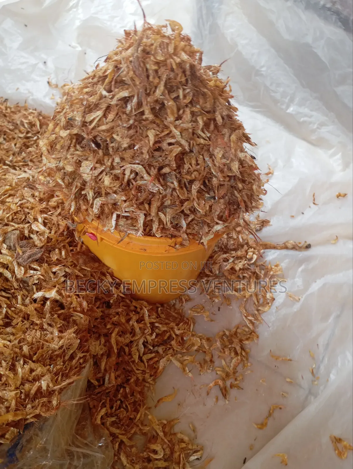 Premium Oron Crayfish