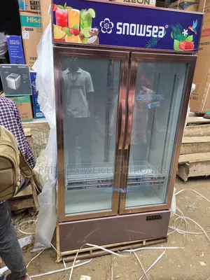 Snowsea Double-Door Freezer for Frozen Products