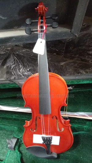 Sanjin Violin