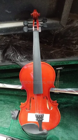 Sanjin Violin