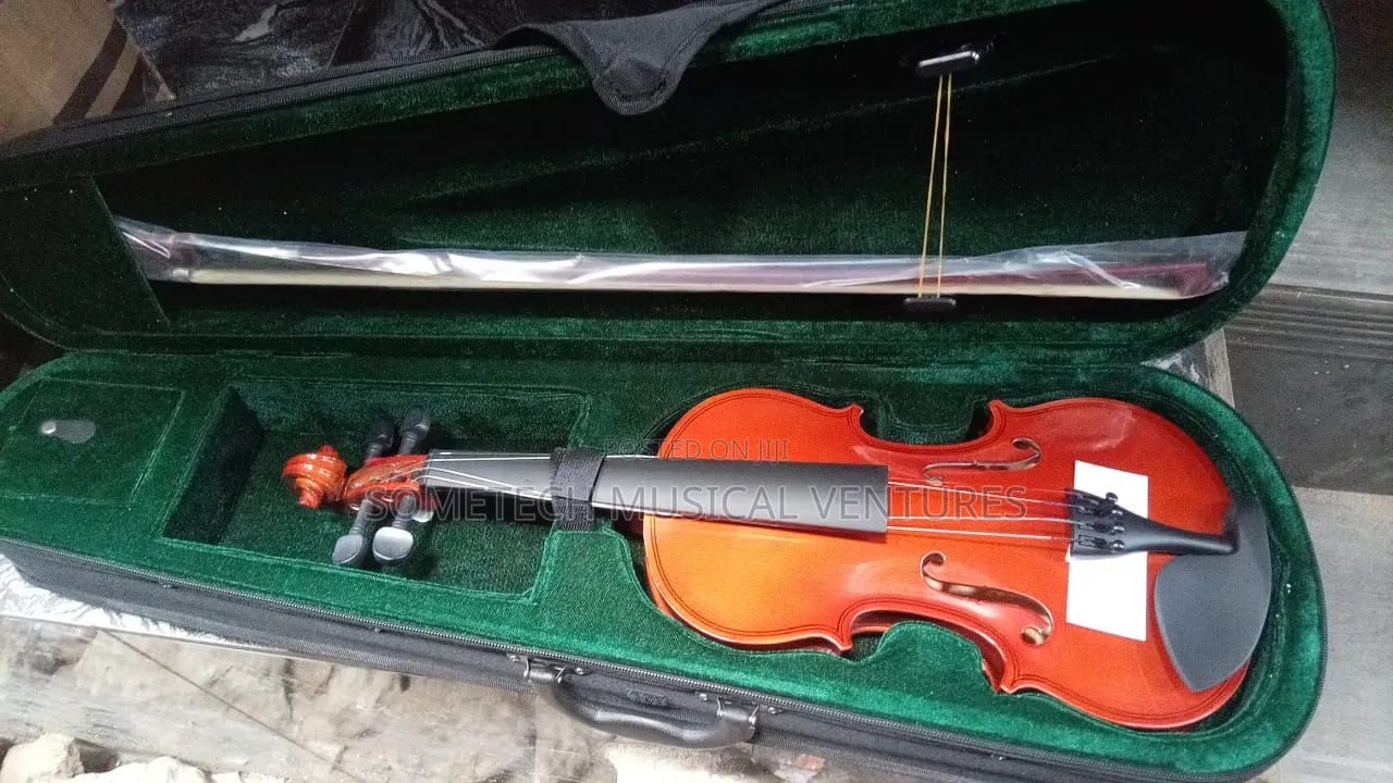 Sanjin Violin