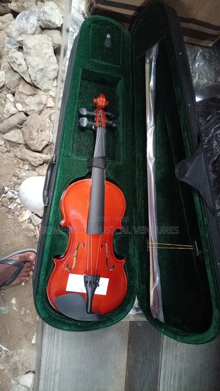 Sanjin Violin