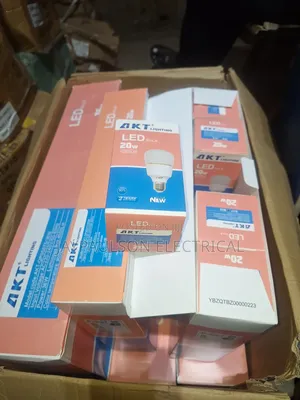 Akt Lighting 20w Led Bulb