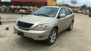 Lexus RX 350 2007 Gray