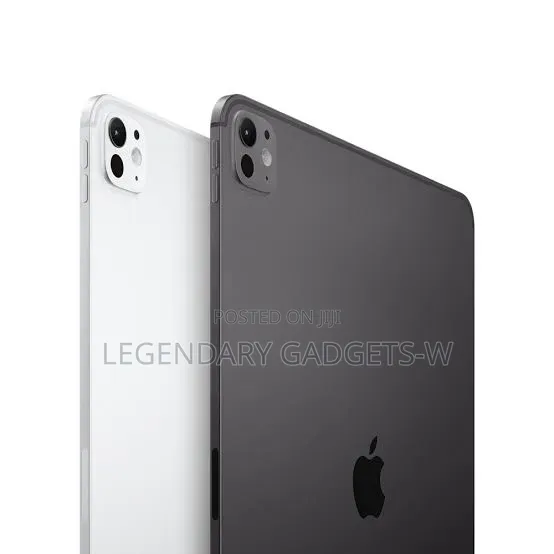 Apple iPad Pro 13 (2024) 256 GB Gray