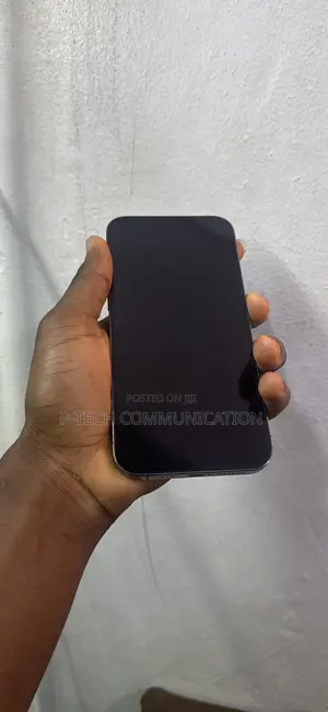 Apple iPhone 12 Pro Max 128 GB Gray