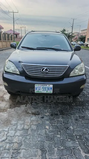 Lexus RX 2005 Gray
