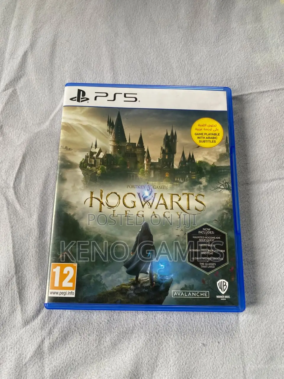 Hogwarts Legacy PS5 Disc