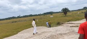 50 Hectares of Land