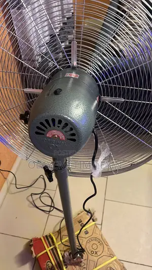 Ox Fan for Sell