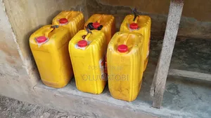 Premium Quality Palm Oil
