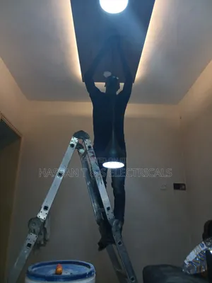 Professional Electrician