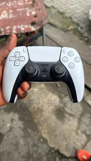 Clean PS 5 Controller