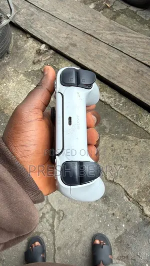 Clean PS 5 Controller