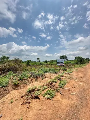30 Acres of Land