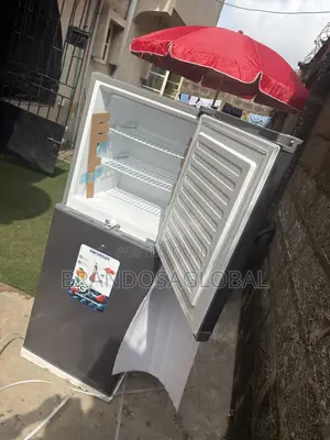 Skyrun BCD-195 Home Refrigerator