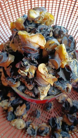 The Oil and Shellfish Enterprise