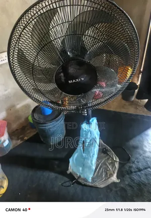 Neat Maxi Fan