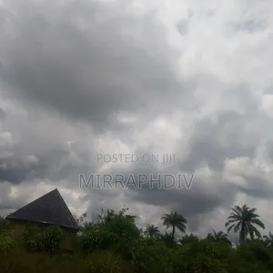 100,000 SQM of Land Along Abakaliki Express Road Enugu for Sale