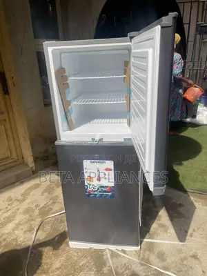 Skyrun BCD-195HS Modern Refrigerator