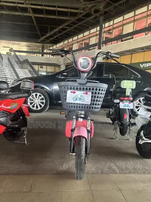 New Motorcycle 2025 Pink