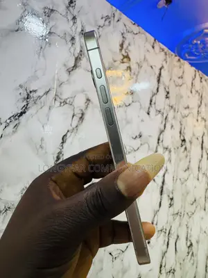 Apple iPhone 15 Pro Max 256 GB