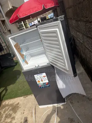 Skyrun BCD-195 Home Cooling Fridge
