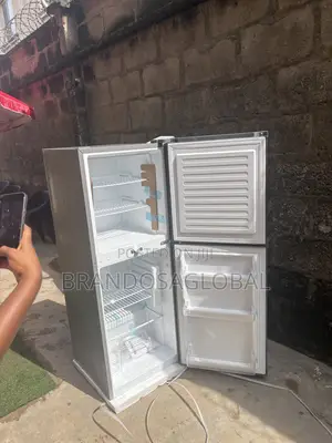 Skyrun BCD-195 Grocery Storage Fridge