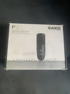 P120 Music Recording Microphone