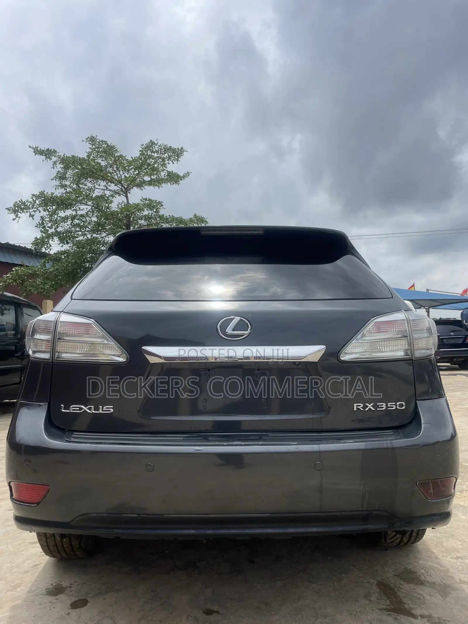 Lexus RX 2009 Gray