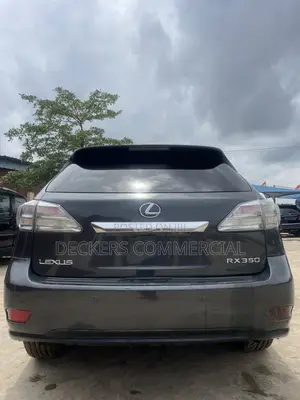 Lexus RX 2009 Gray