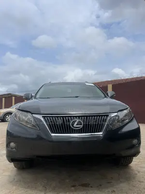 Lexus RX 2009 Gray