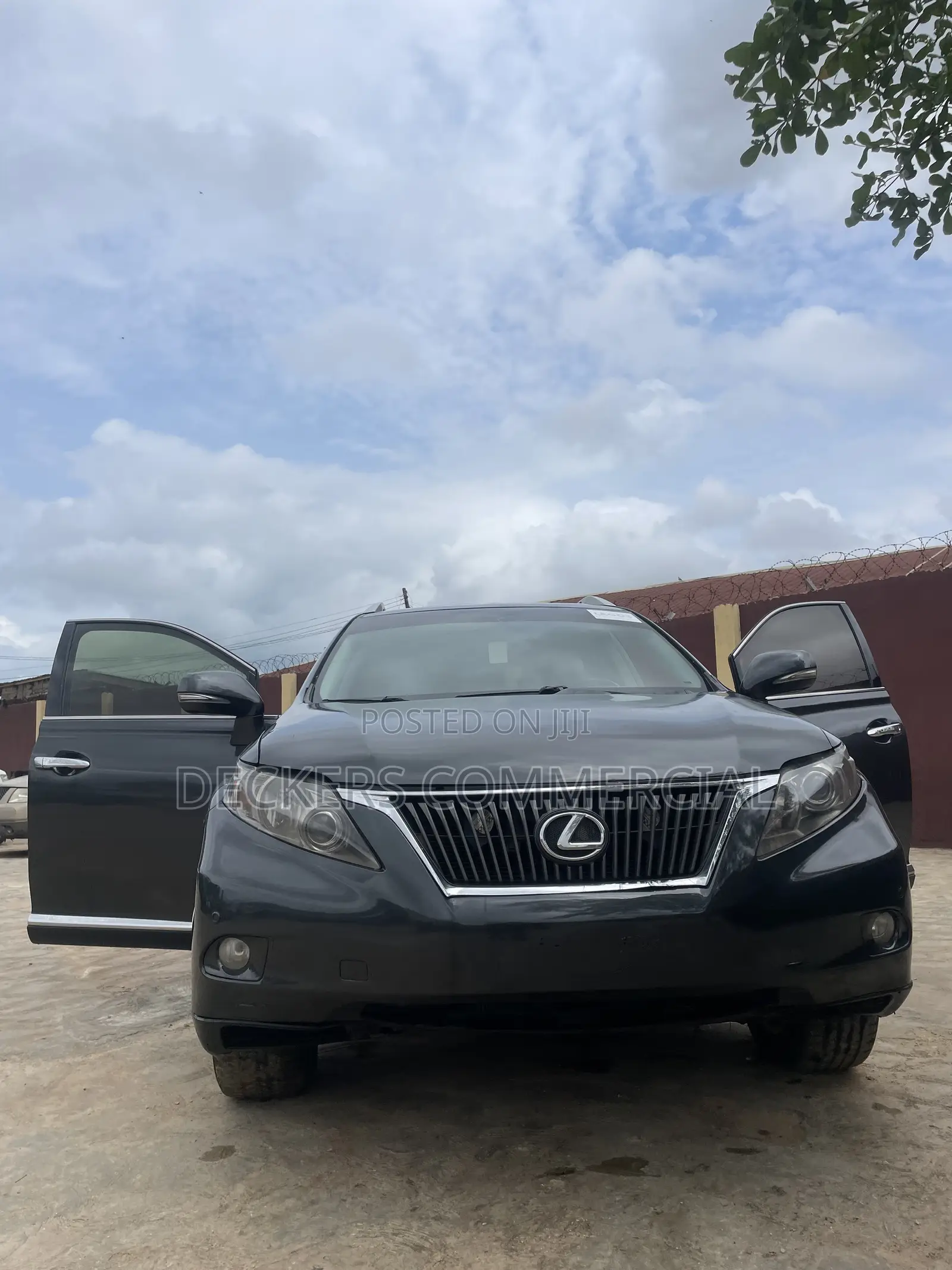 Lexus RX 2009 Gray