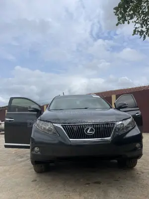 Lexus RX 2009 Gray