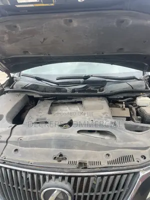 Lexus RX 2009 Gray