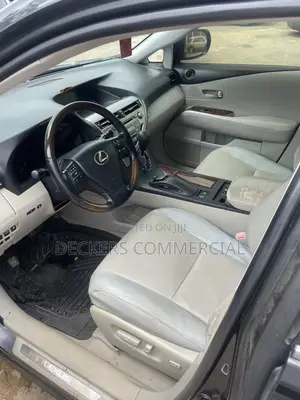 Lexus RX 2009 Gray