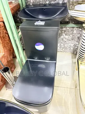 Sharp Matt Black Wc