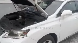 Lexus RX 2013 White