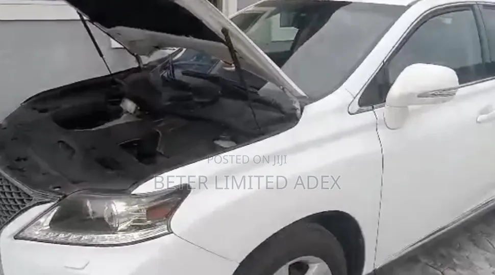 Lexus RX 2013 White