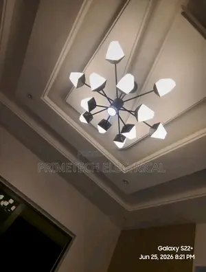 Professional Electrician in Lagos