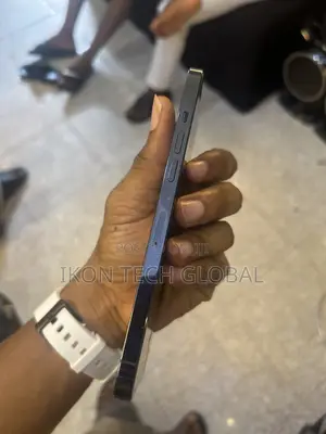 Apple iPhone 12 Pro Max 256 GB Blue