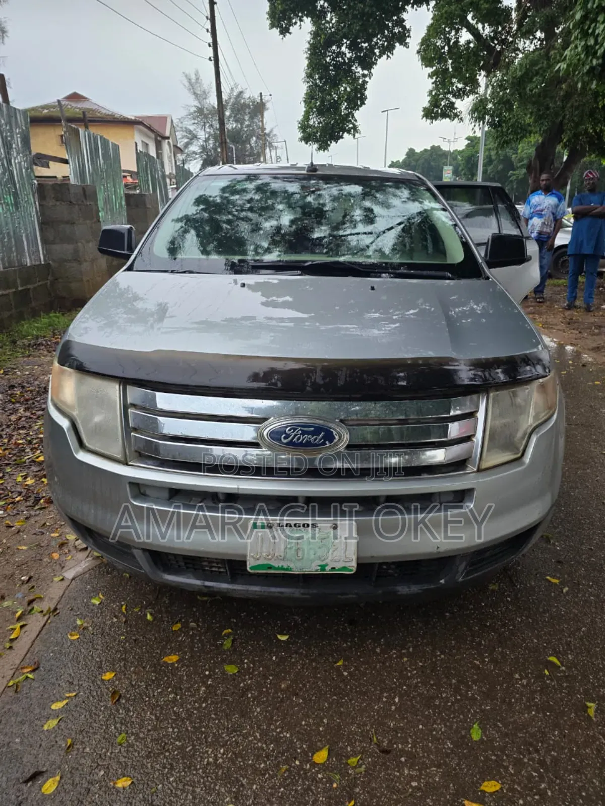 Ford Edge 2008 Silver
